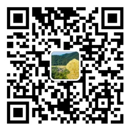 六合联盟下载